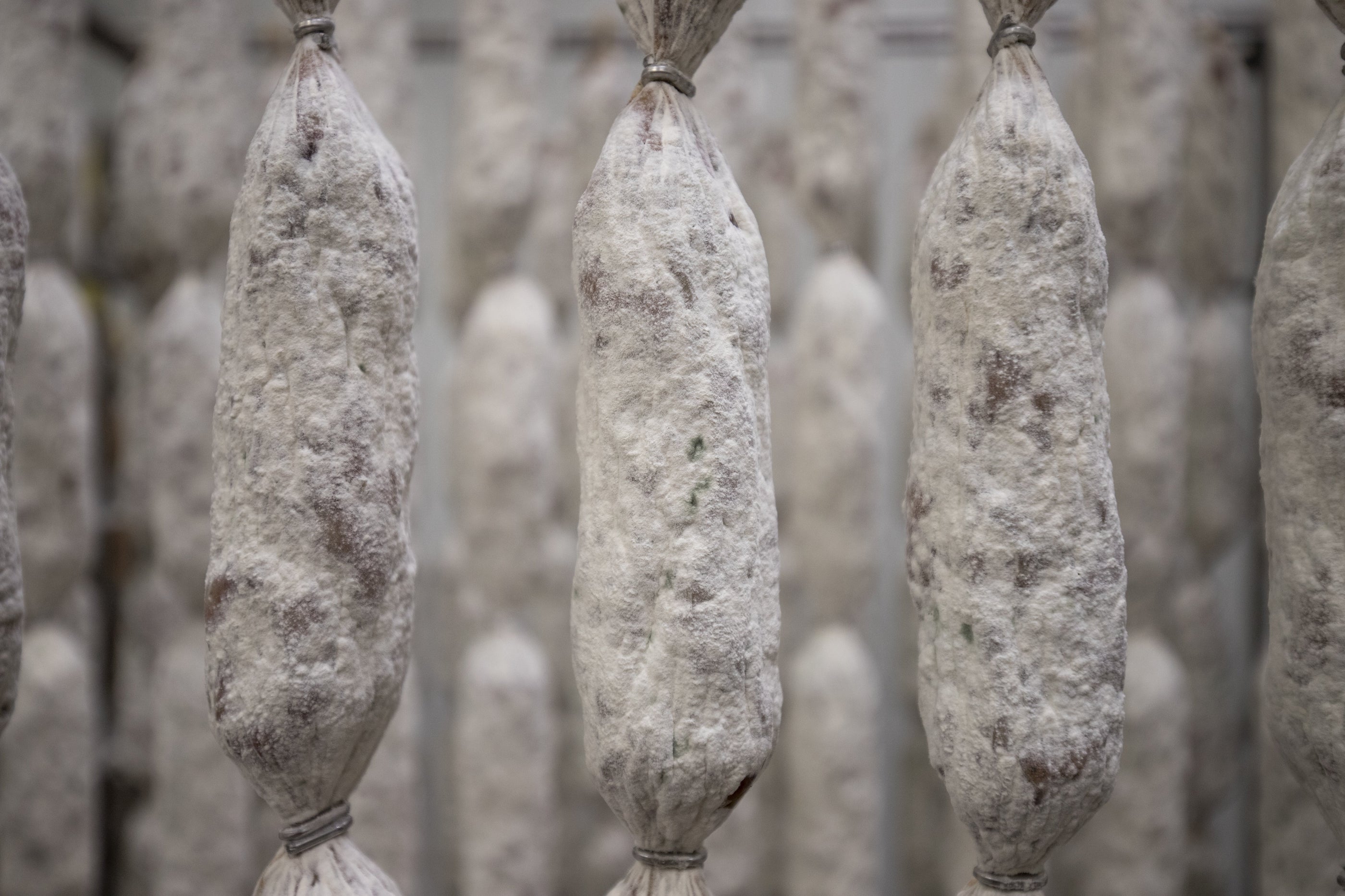 The Art of Real Salami: How Time, Technique, and Tradition Create Flavor